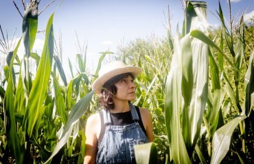 La lucha mexicana contra el maíz transgénico no ha concluido