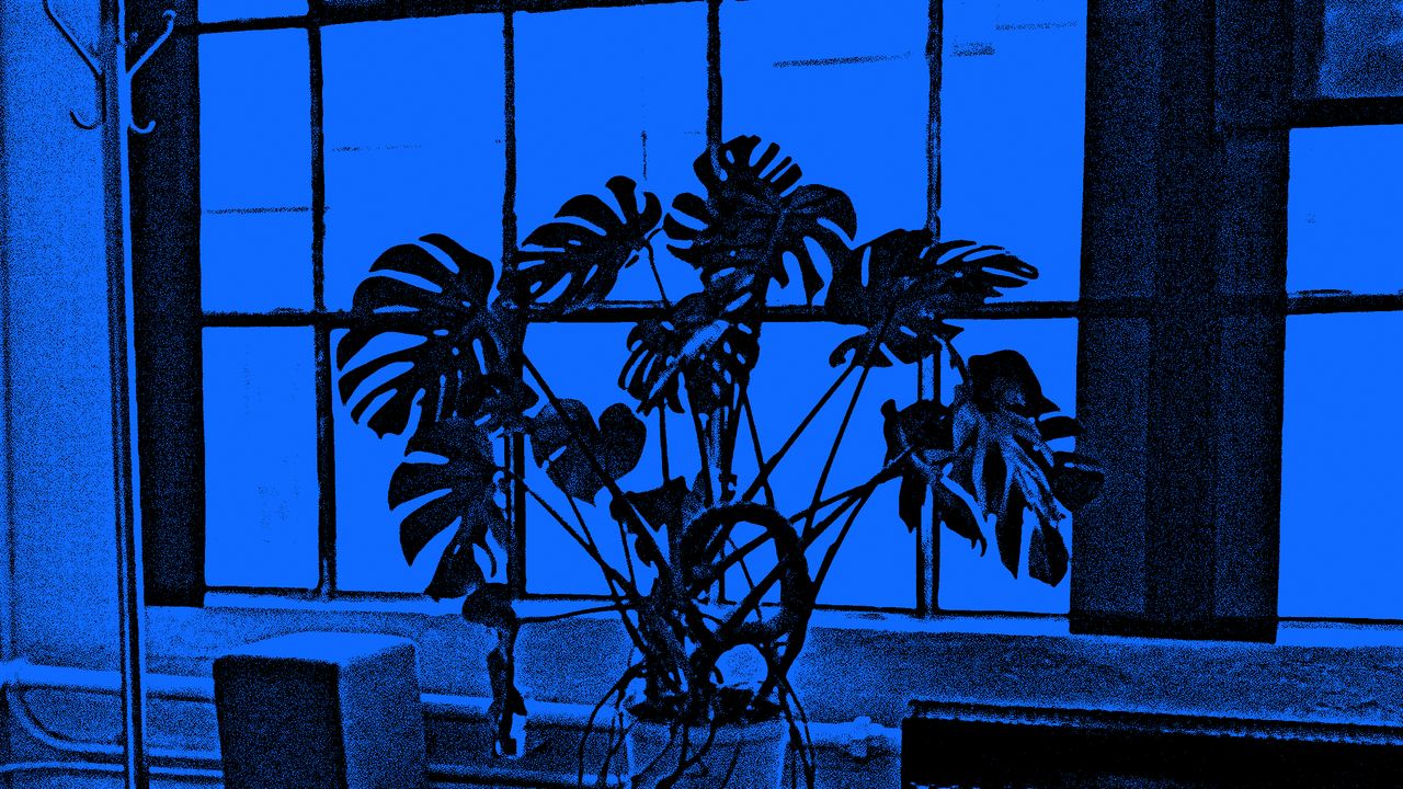 A todos nos conviene que la burbuja de la IA estalle de una vez