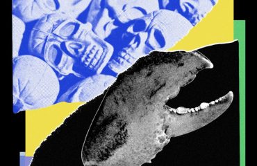 Los agentes de OpenClaw ahora te acompañarán a cualquier lugar que vayas gracias a sus nuevas apps