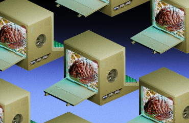 Bienvenidos a la era de la computación hecha con cerebros de verdad